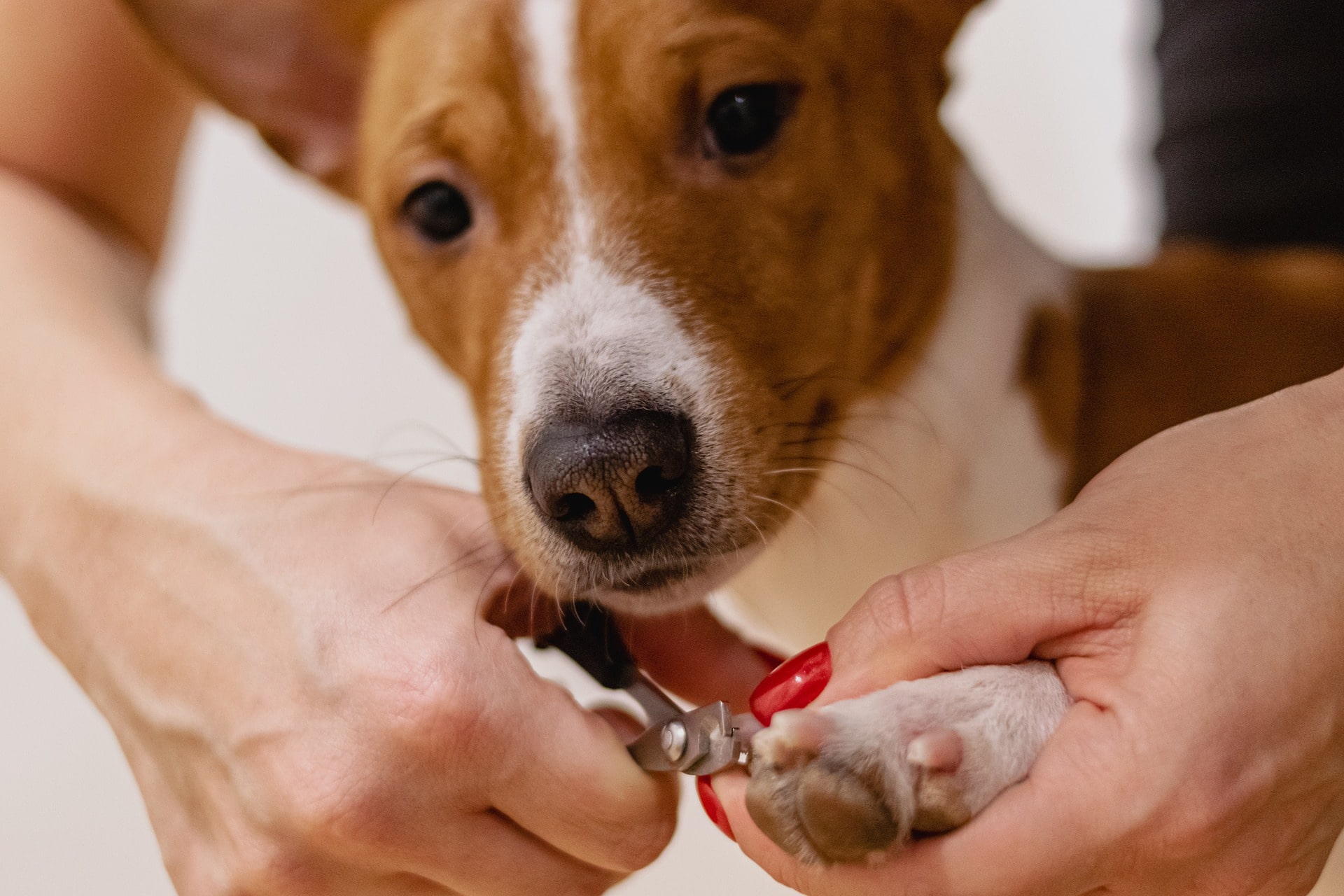 nail-clipping-6926857_1920-min